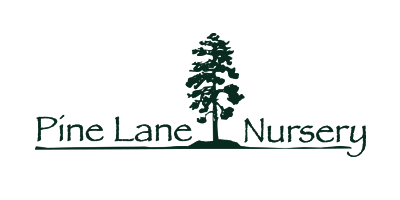 Pine Lane Nursery