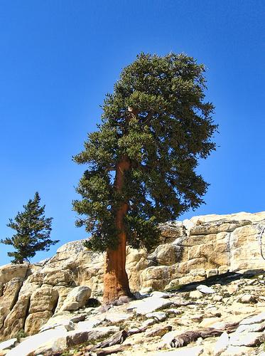 5200805098_efb1bb9c40.jpg