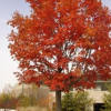 Autumn-Fantasy-3.jpg
