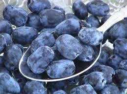 Haskap Berry/ Polor Combo