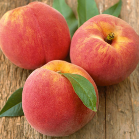 Peach/ Reliance